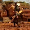 robbietaylor543